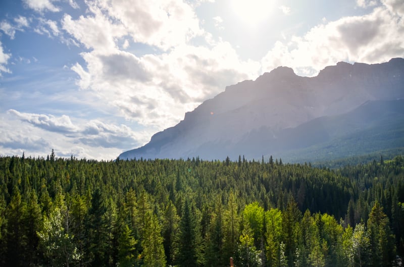 landscape-mountain-range-with-pinetree-forest-canada
